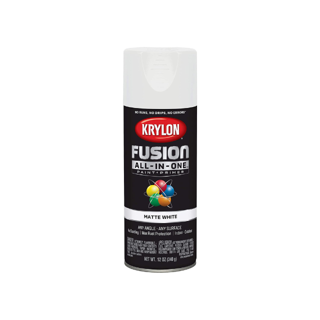 Krylon Fusion All-In-One Spray Paint for Indoor/Outdoor Use, 340g
