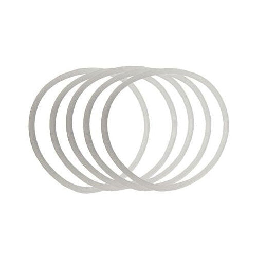 Fuji 9216C-5 Chemical Resistant Gaskets - 600 cc Gravity Cup - The Paint People